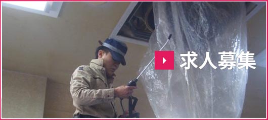 求人募集